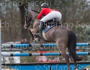 De Simone Teddy TosTour 2013- S5 7824